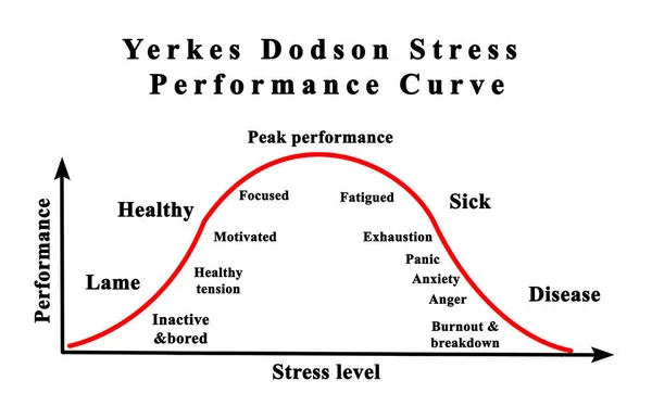 Curva de rendimiento de estrés Yerkes Dodson — Foto de Stock